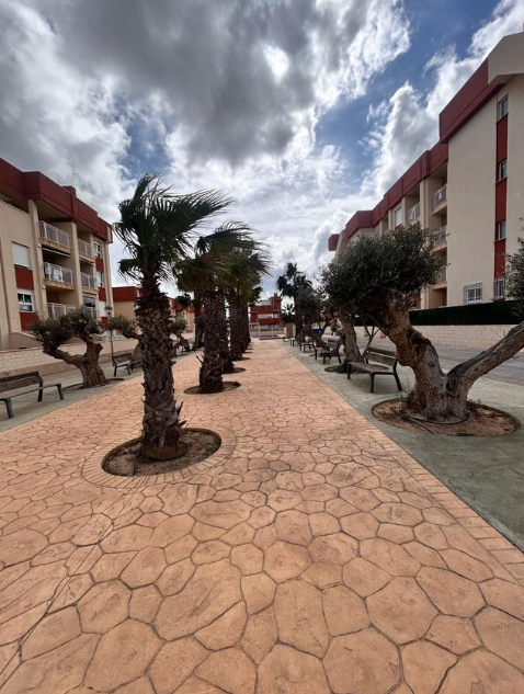 Ground floors Orihuela Alicante