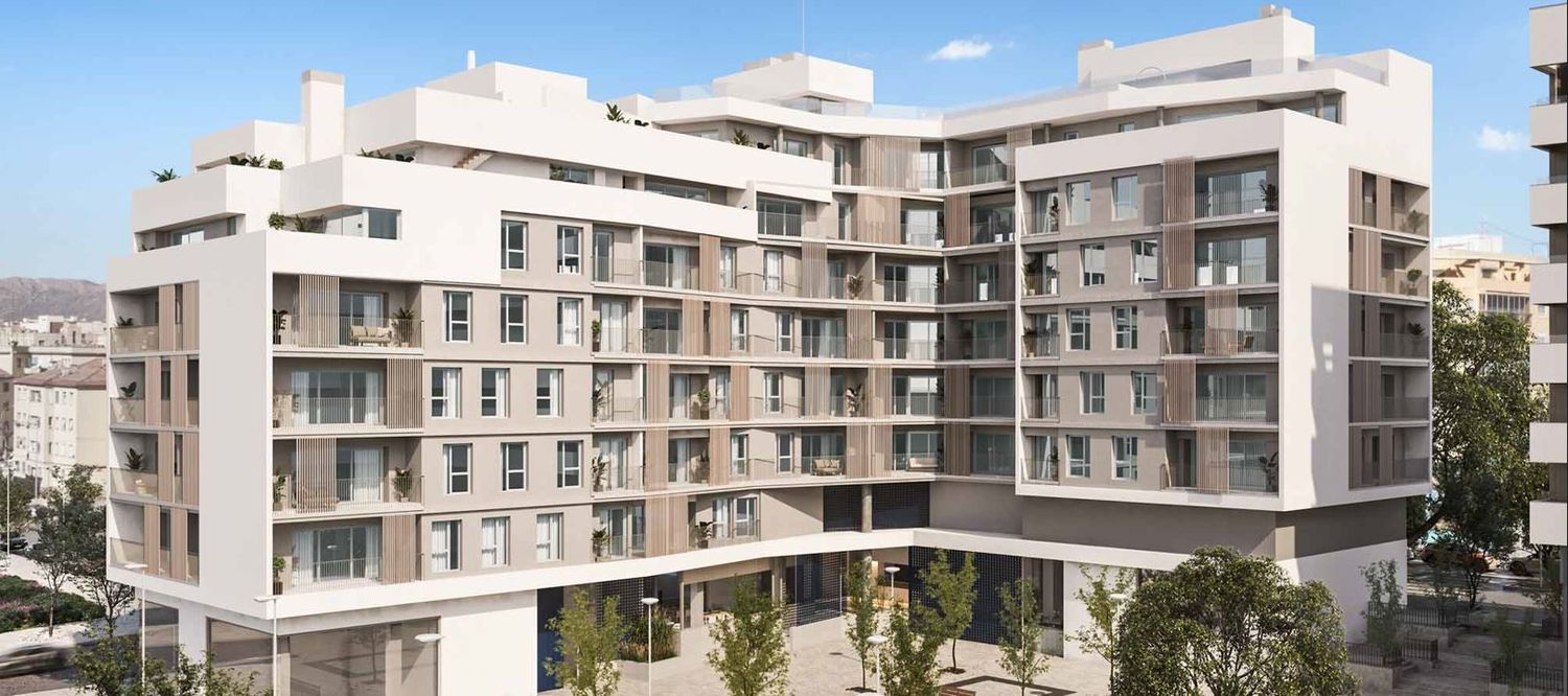 Flats Alicante Alicante 03008