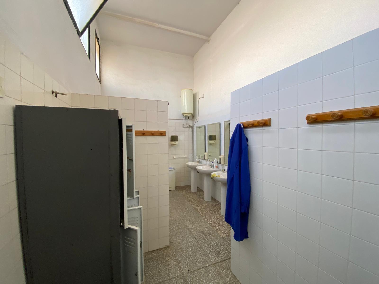 Superb Nave 3.9en venta en Ctra. Elche a Crevillente