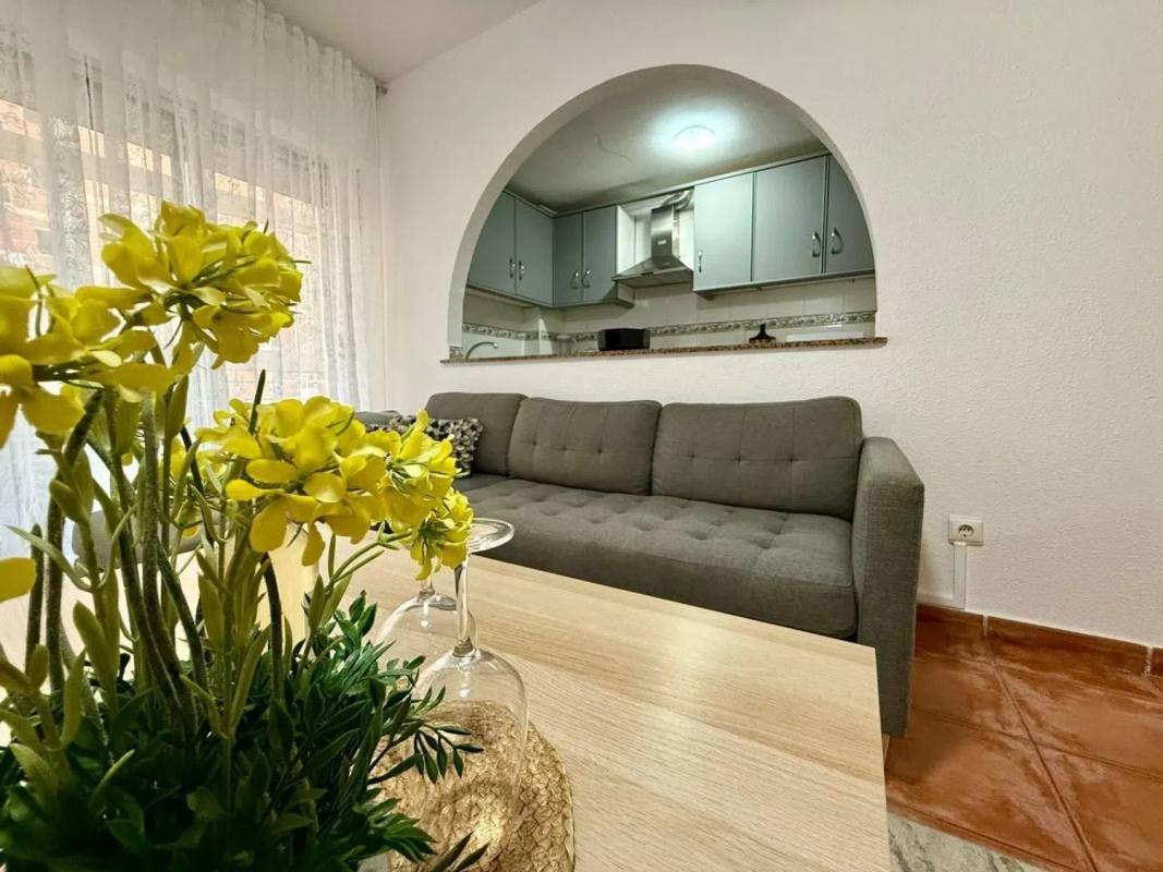 apartment Torrevieja Alicante Torrevieja