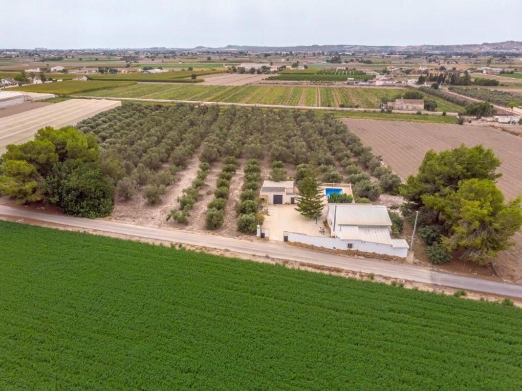 casas Dolores Alicante Dolores
