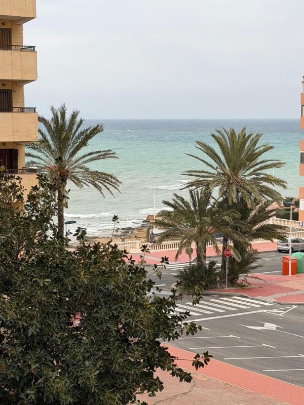 apartment Torrevieja Alicante Torrevieja
