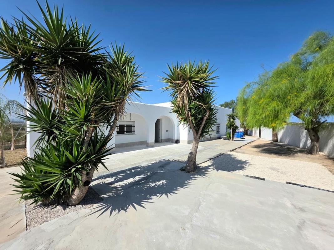 country house Elche / Elx Alicante Elche / Elx