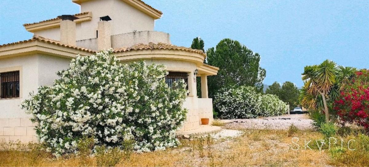 villa Pinoso Alicante Pinoso