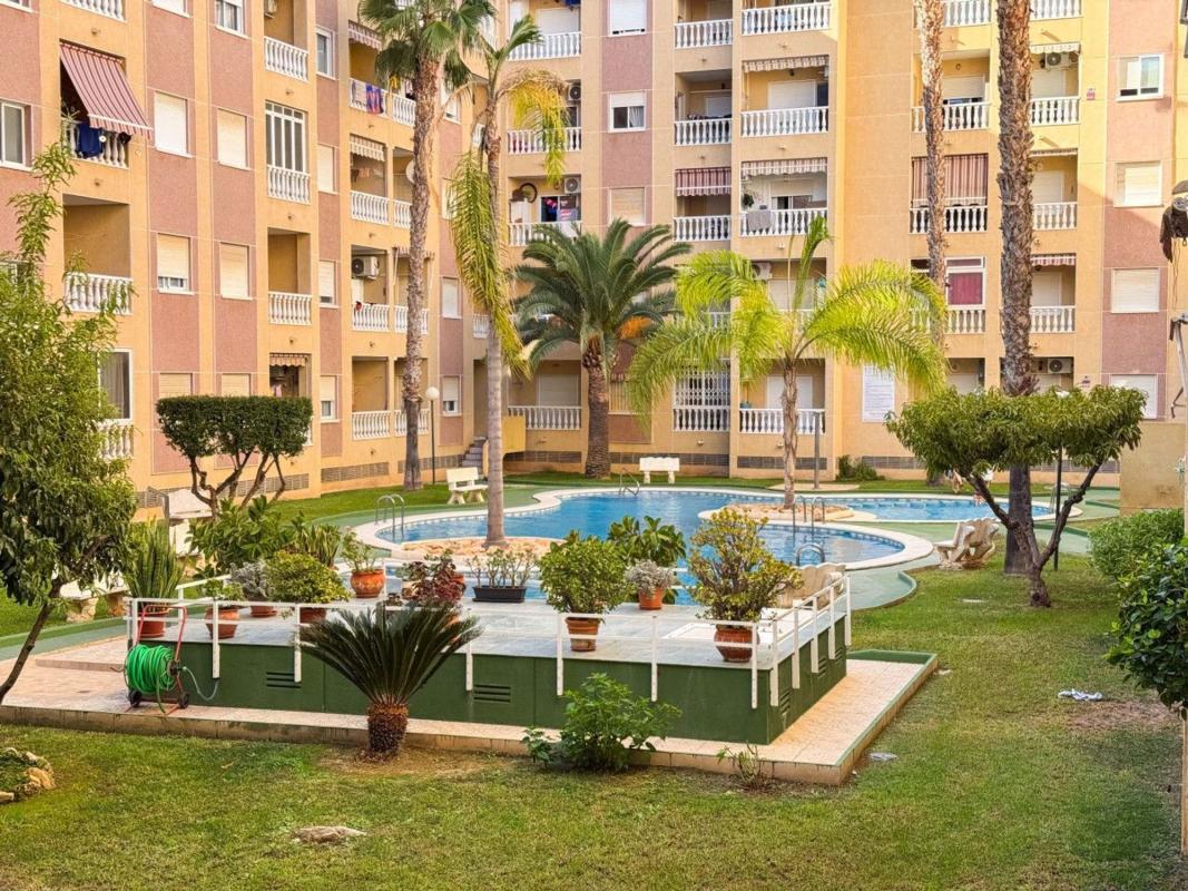 apartment Torrevieja Alicante Torrevieja