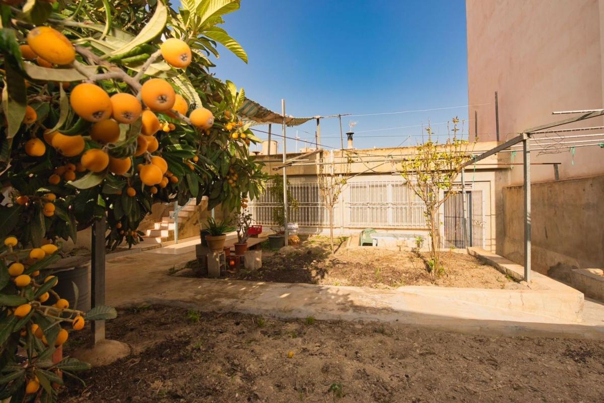 villa Benijofar Alicante Benijofar