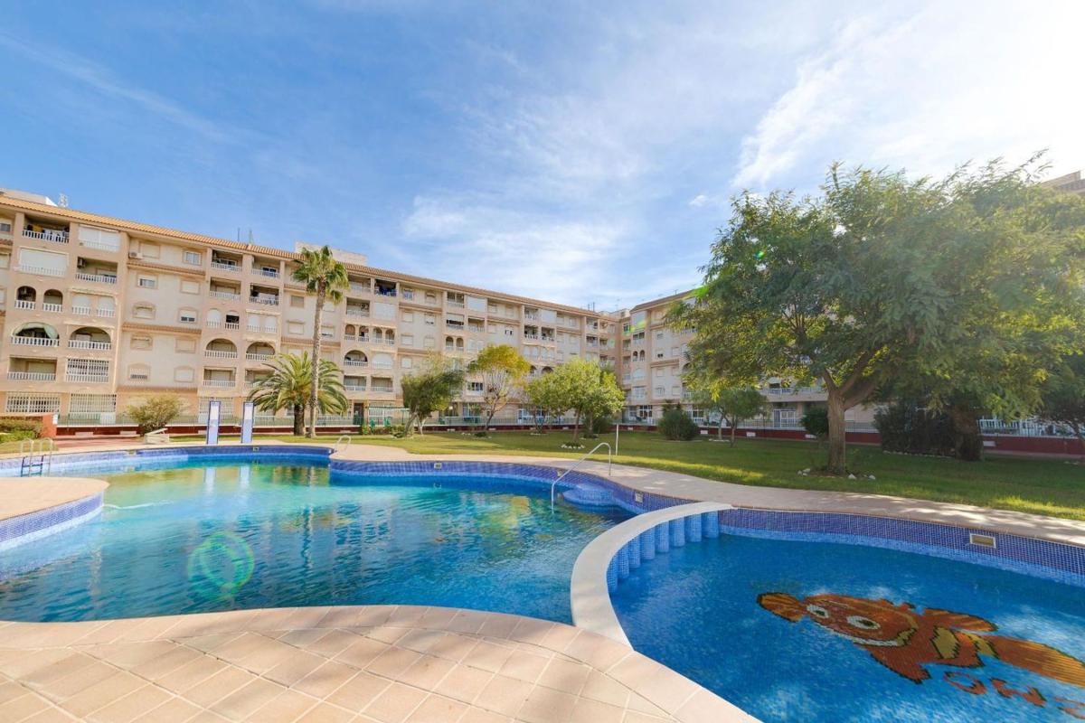apartment Torrevieja Alicante Torrevieja