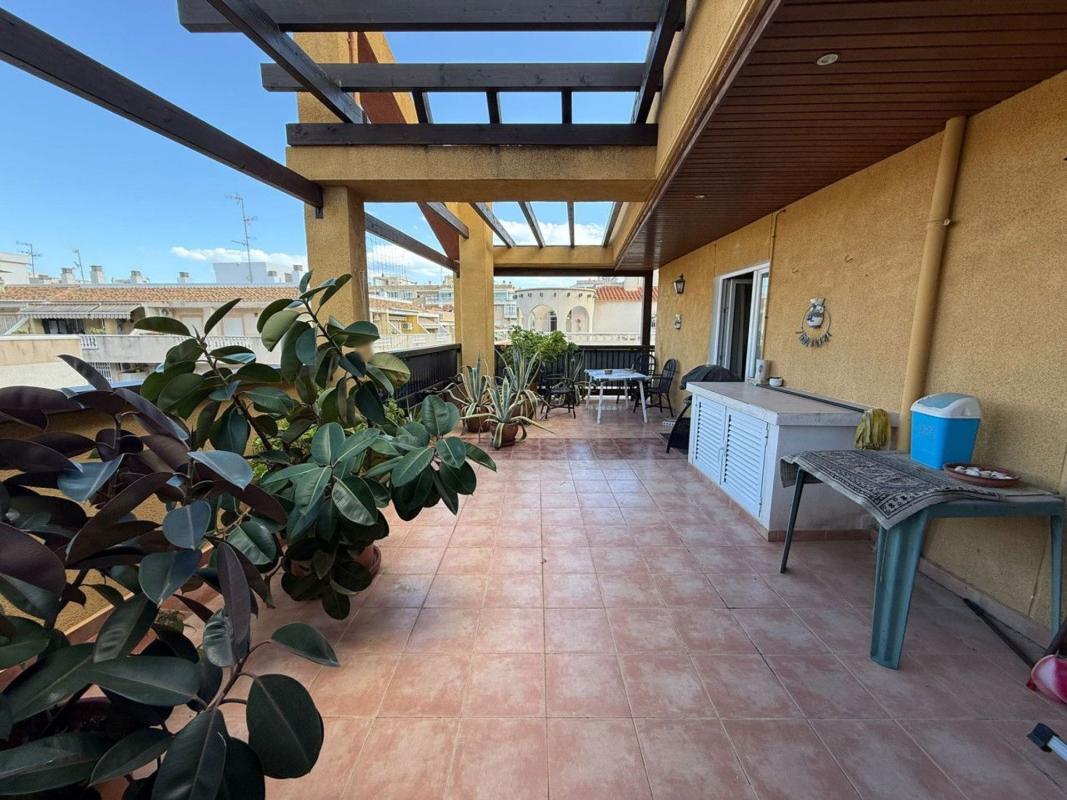 apartment Torrevieja Alicante Torrevieja