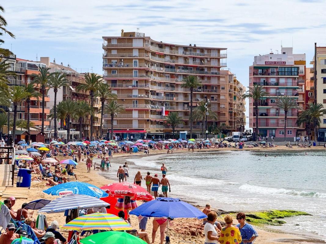 apartment Torrevieja Alicante Torrevieja
