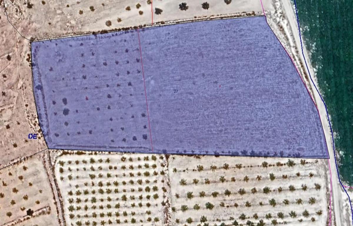 land Pinoso Alicante Pinoso