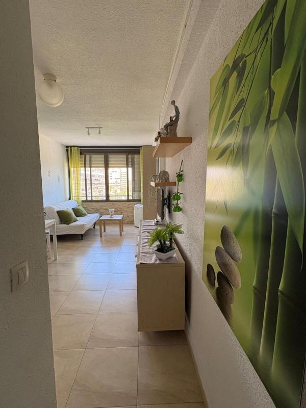 apartment Torrevieja Alicante Torrevieja