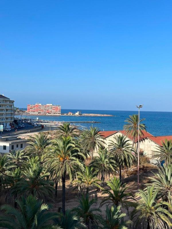 apartment Torrevieja Alicante Torrevieja